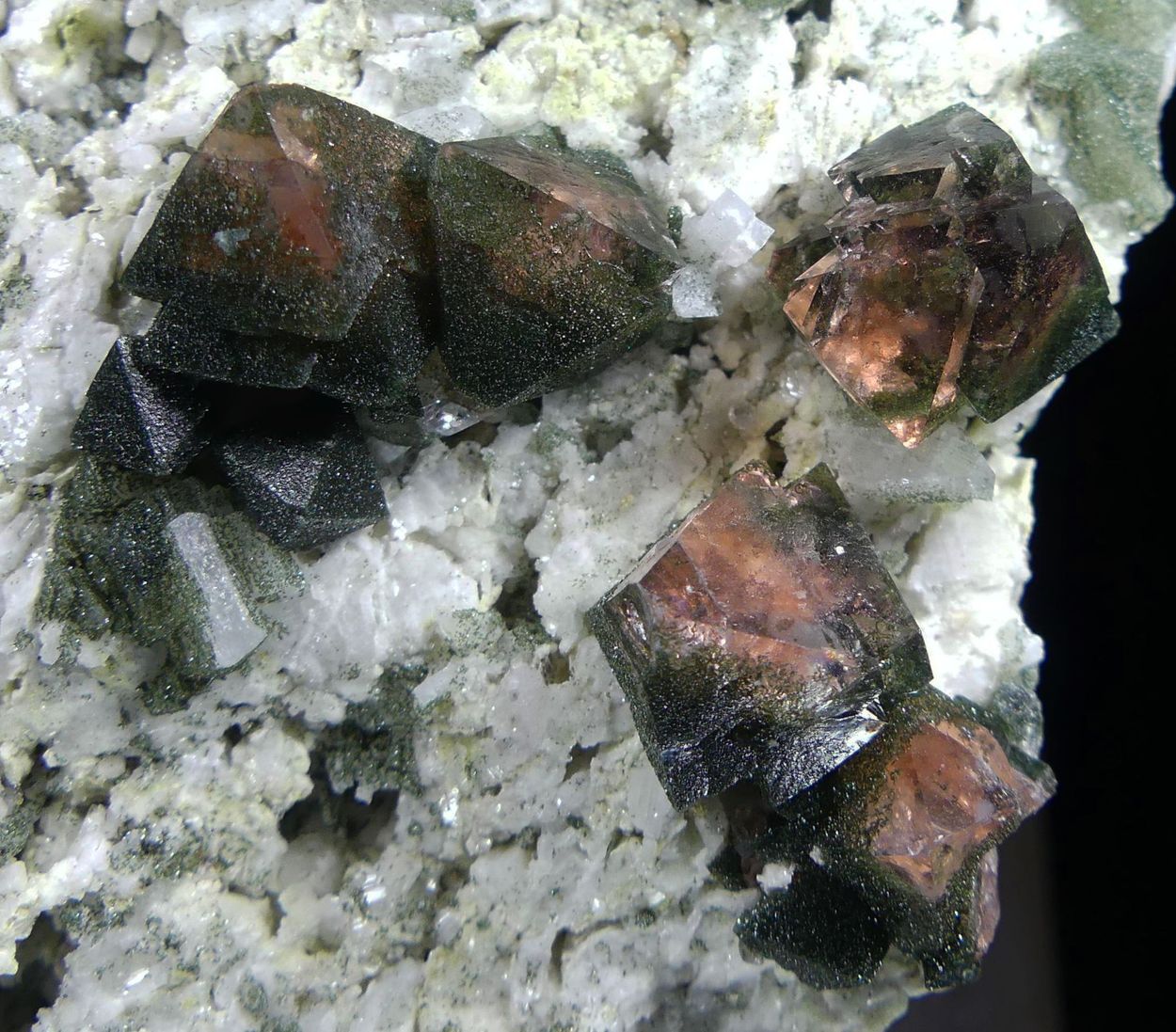 Fluorite With Chlorite & Adularia