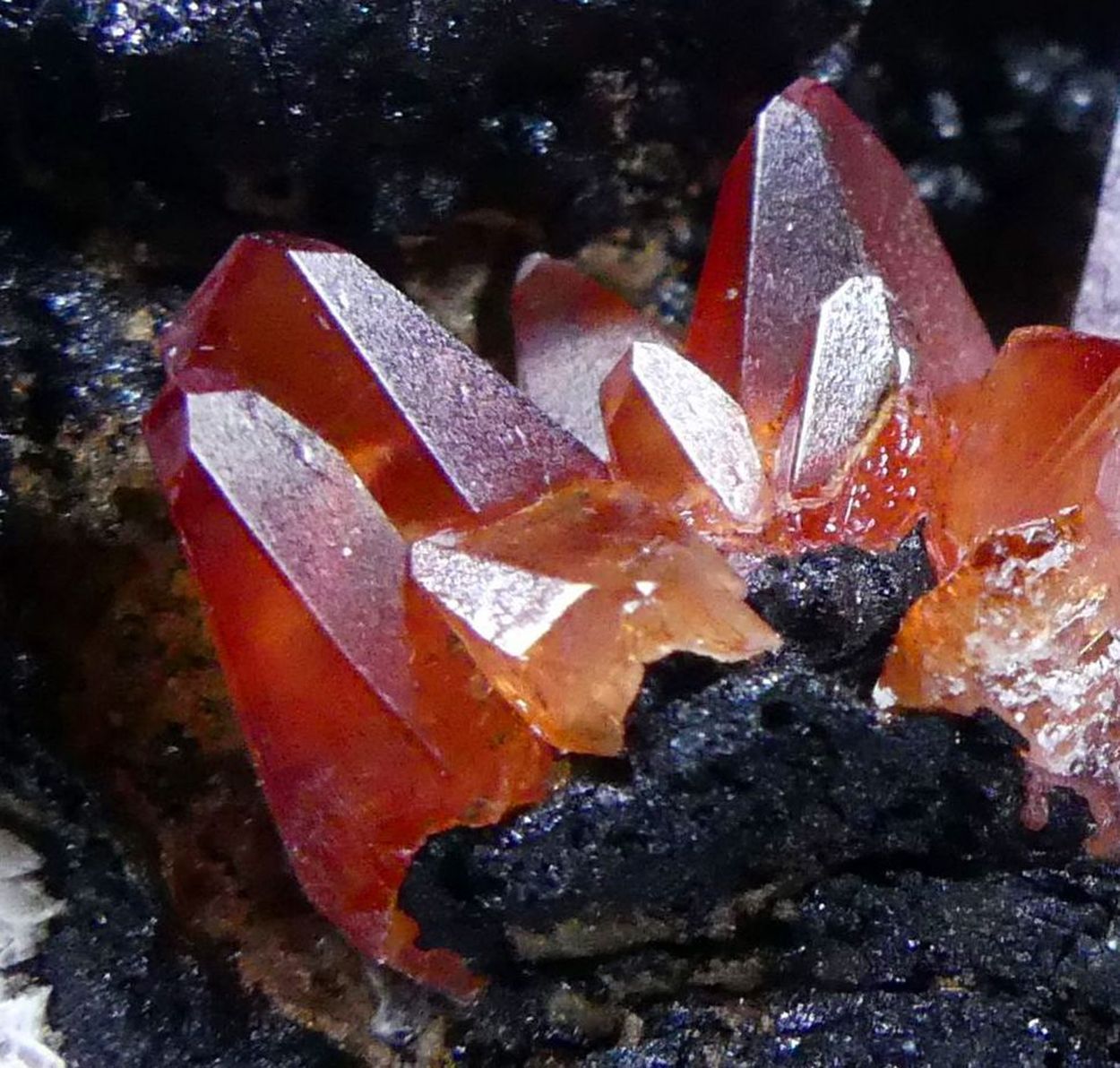 Rhodochrosite On Alabandite