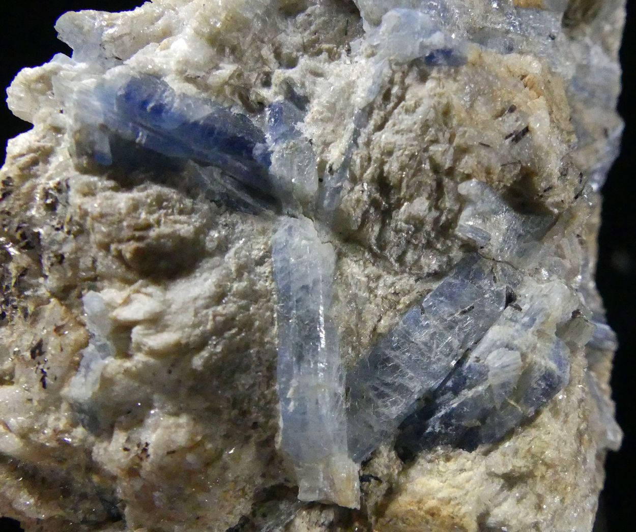 Kyanite & Paragonite