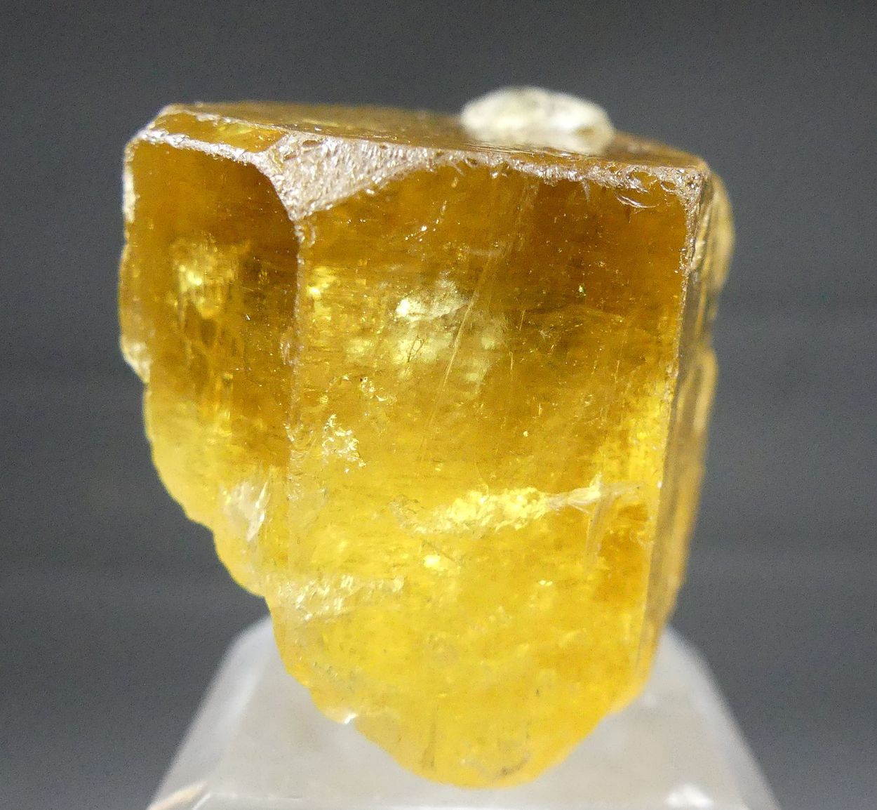 Heliodor