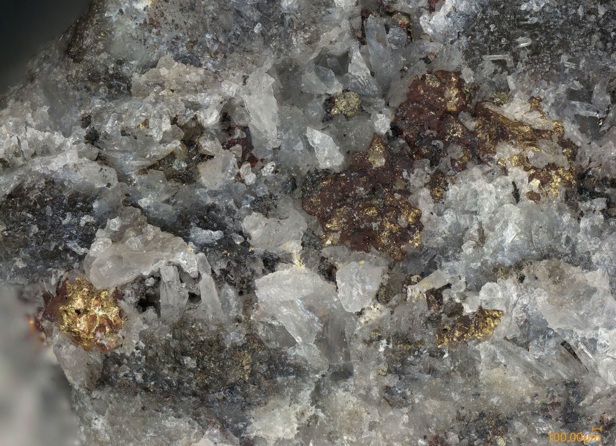 Native Gold & Sylvanite