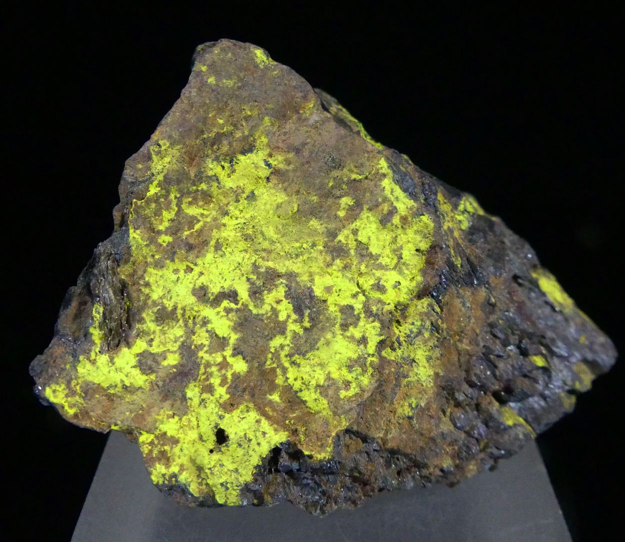 Carnotite On Davidite-(La)