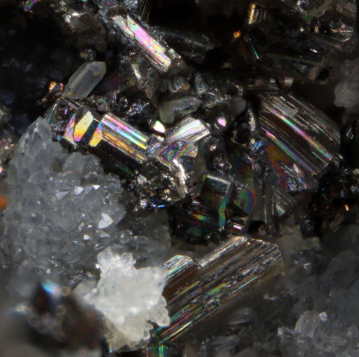Sylvanite On Quartz