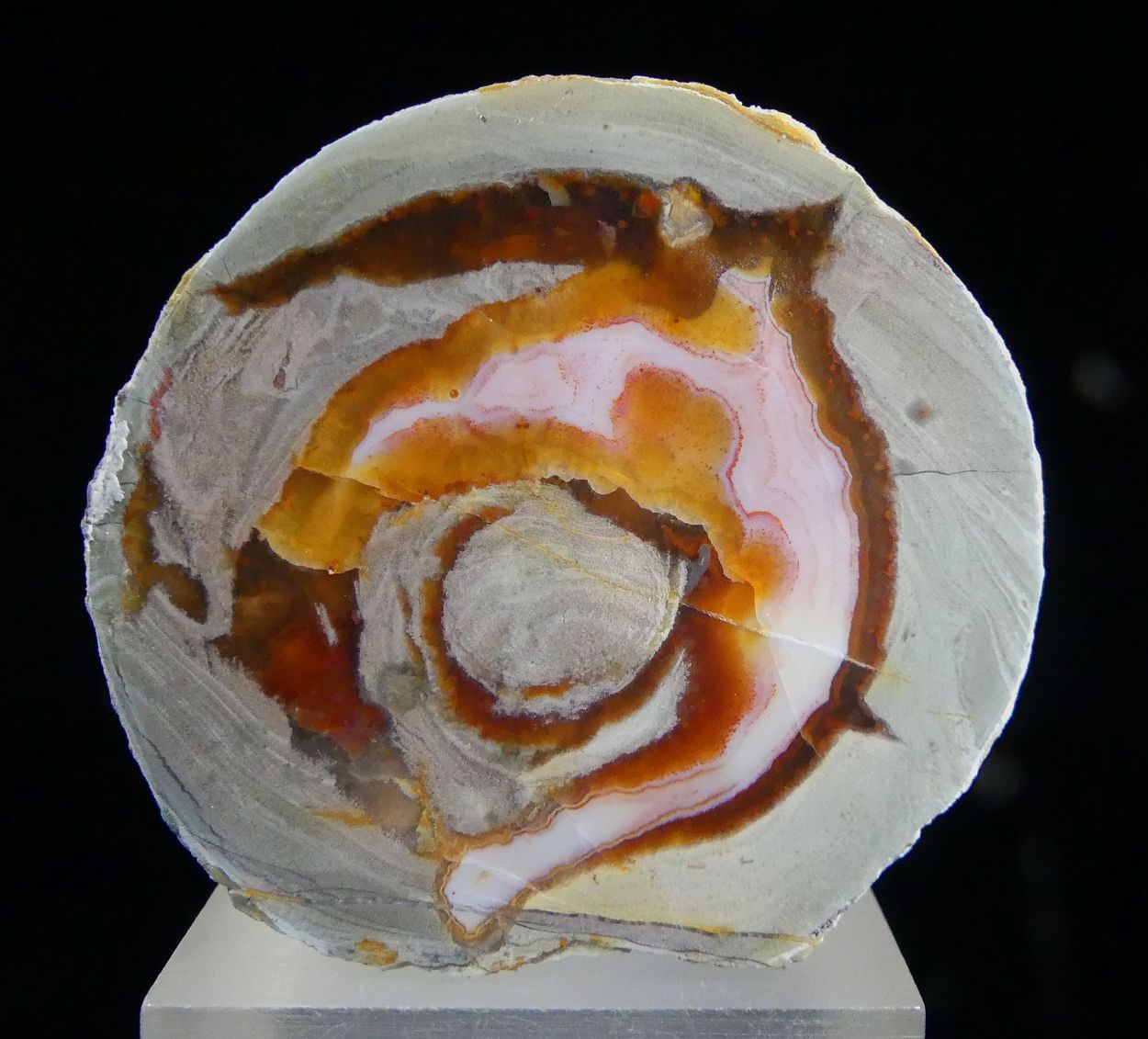 Agate With Carnelian