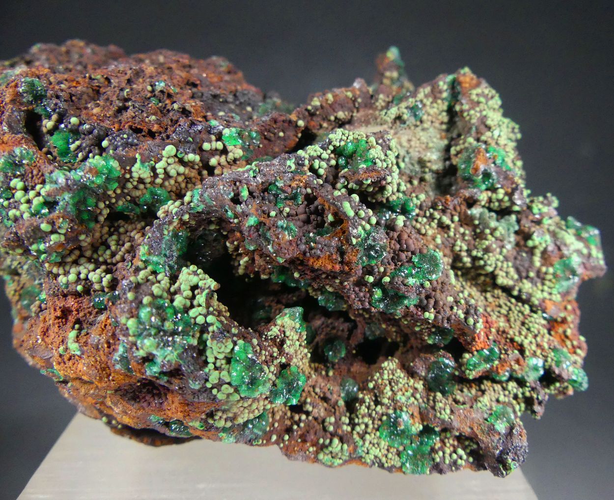 Cuprian Adamite & Conichalcite