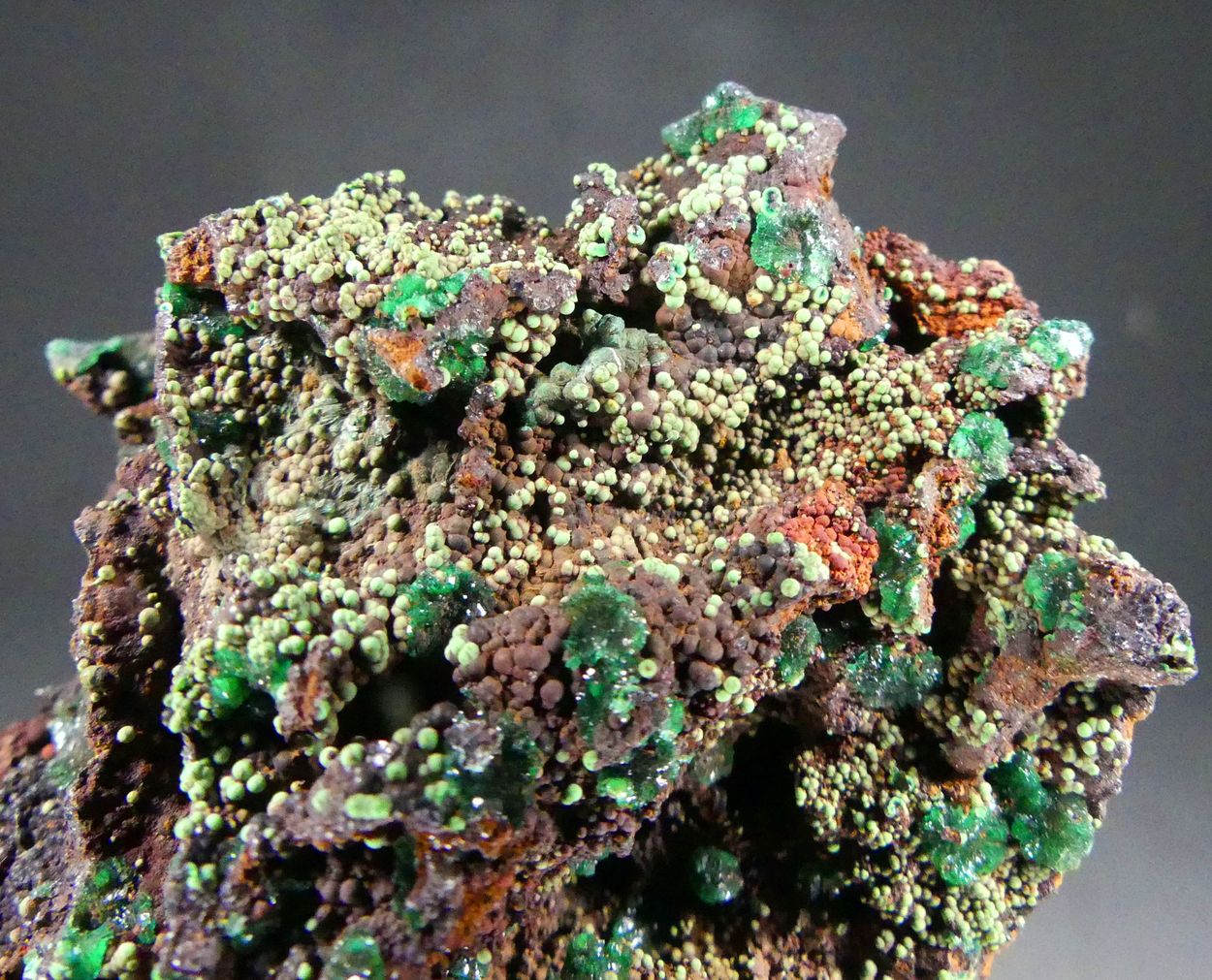 Cuprian Adamite & Conichalcite