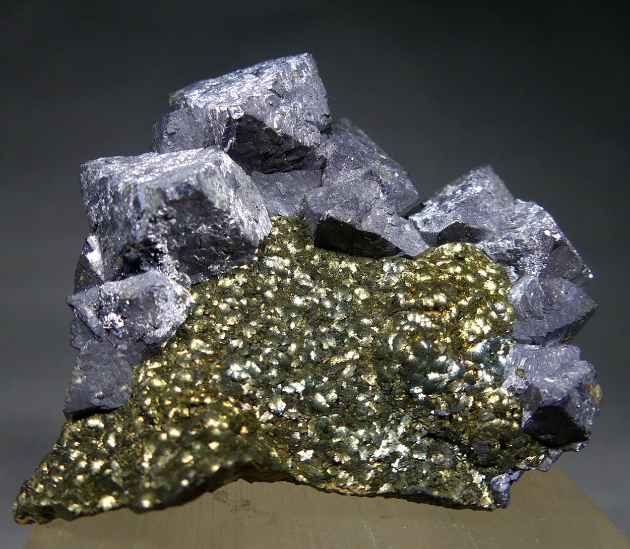 Galena & Pyrite