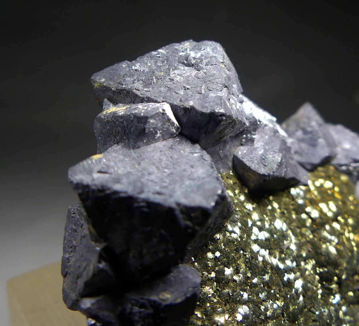 Galena & Pyrite