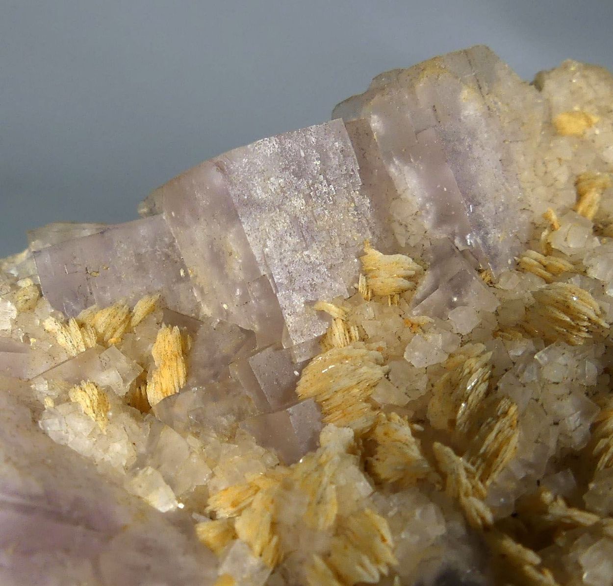 Fluorite & Baryte