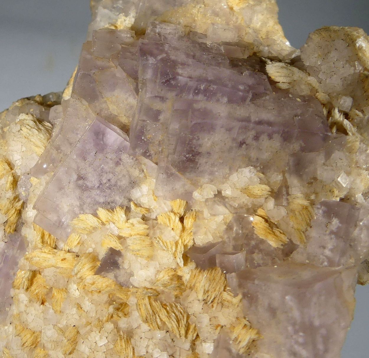 Fluorite & Baryte
