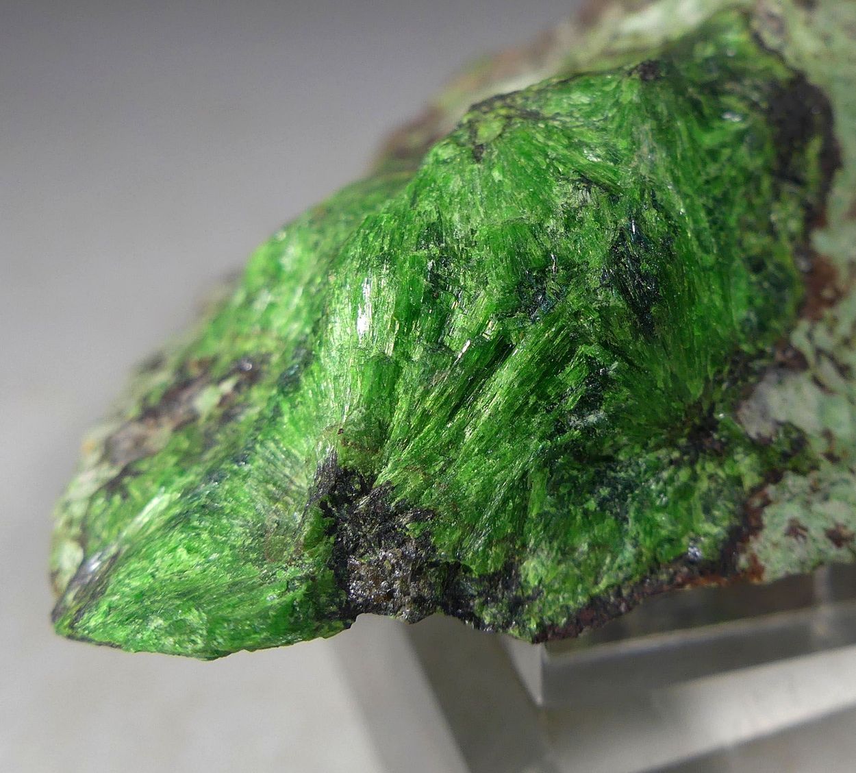 Cuprosklodowskite