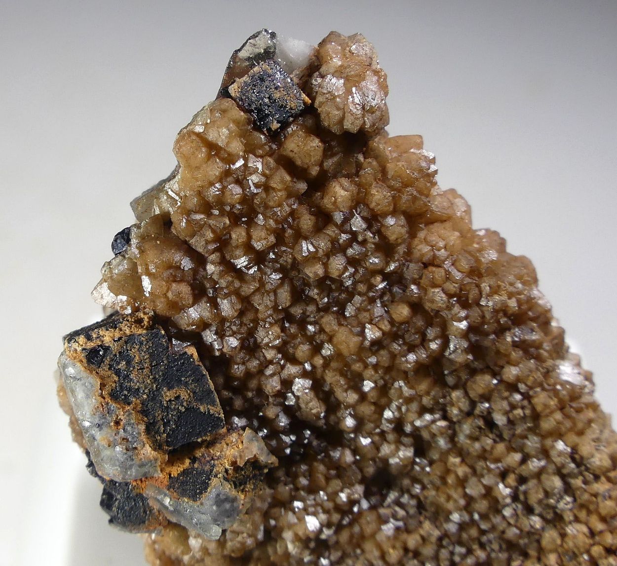Scheelite & Fluorite