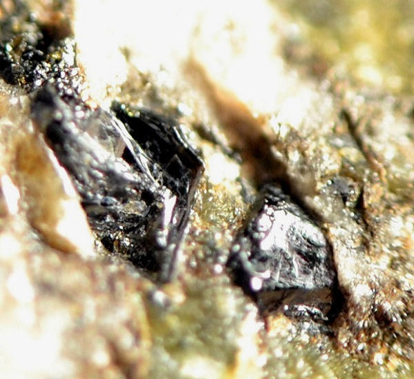 Varulite