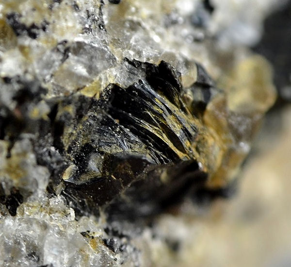 Fluorannite