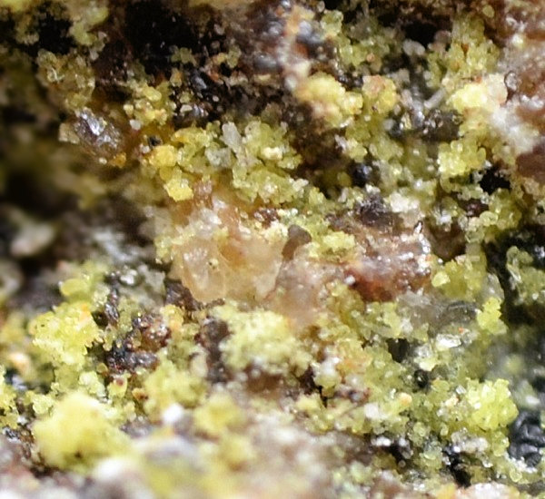 Bayleyite