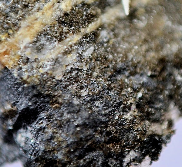 Gamagarite