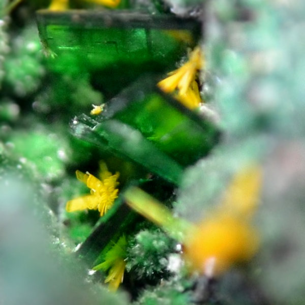 Wulfenite Torbernite & Kasolite