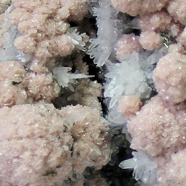 Rhodochrosite