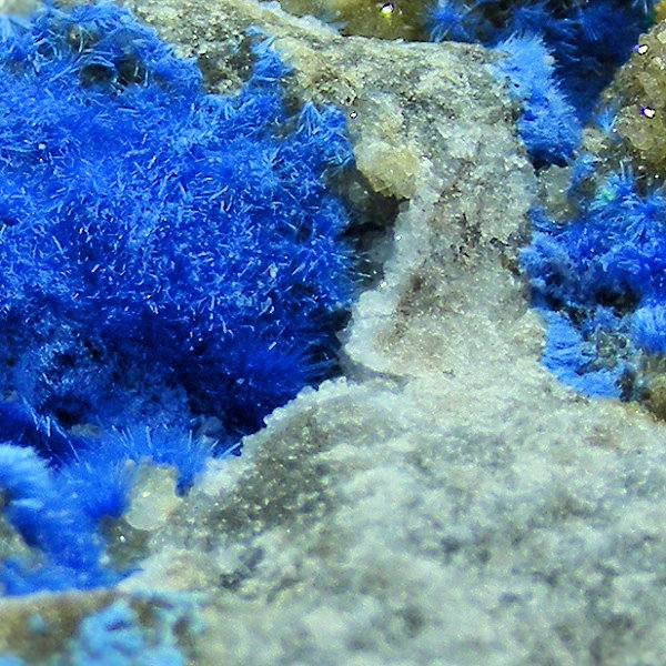 Cyanotrichite