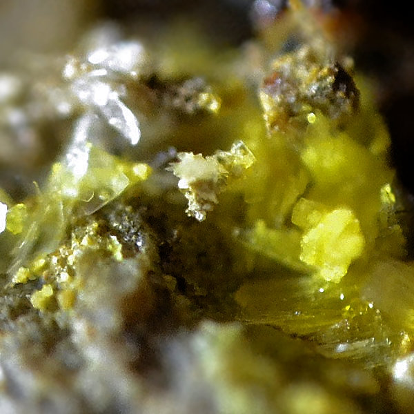 Uranopilite