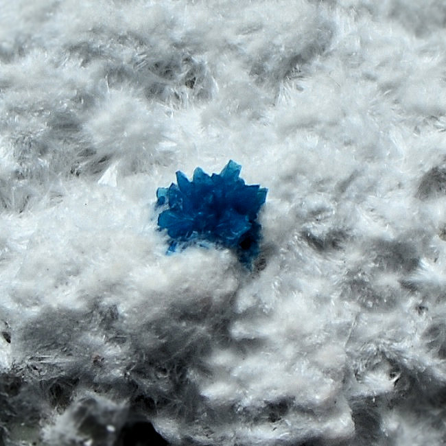 Cavansite & Mordenite