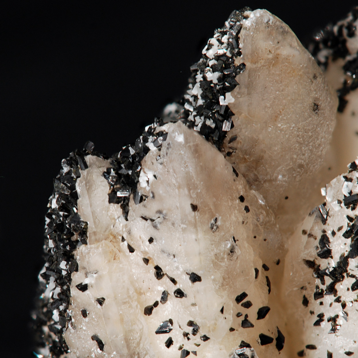 Babingtonite On Calcite