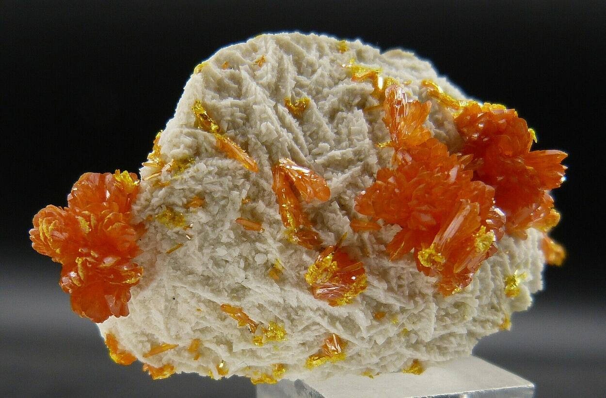 Orpiment & Dolomite