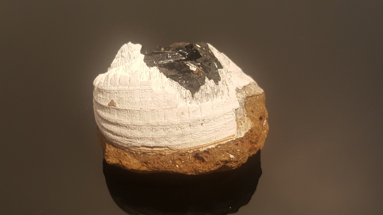 Vivianite In Clam Shell