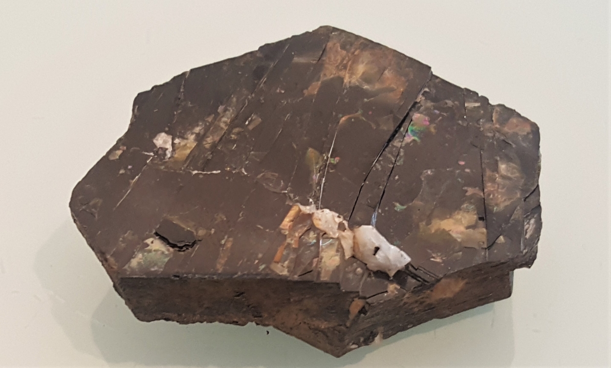 Biotite