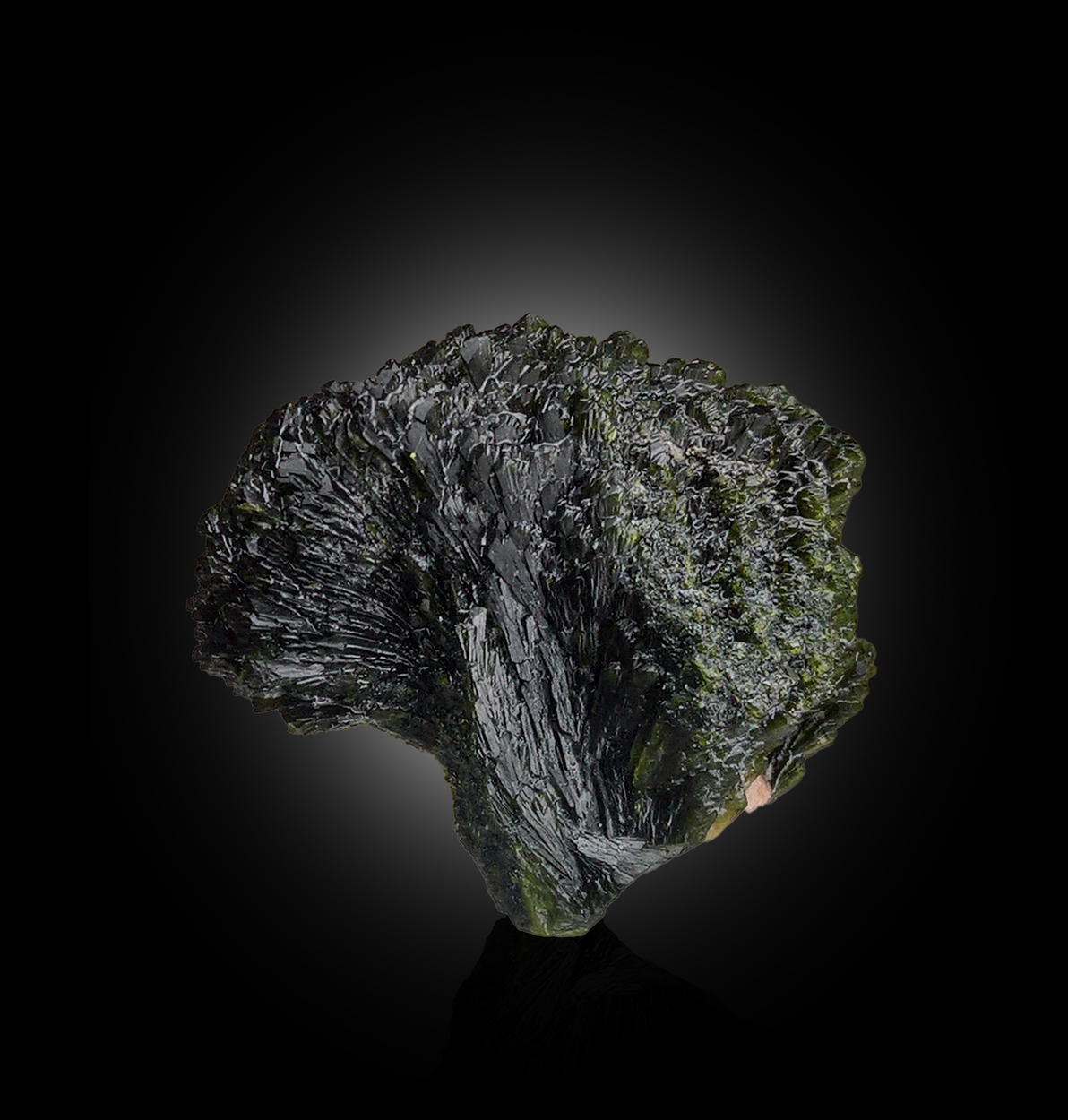 Epidote