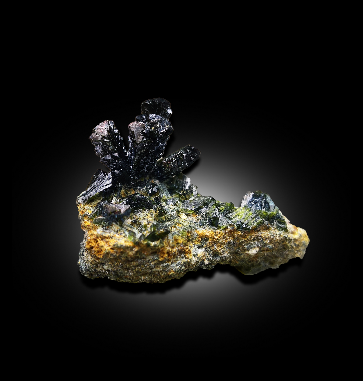 Epidote