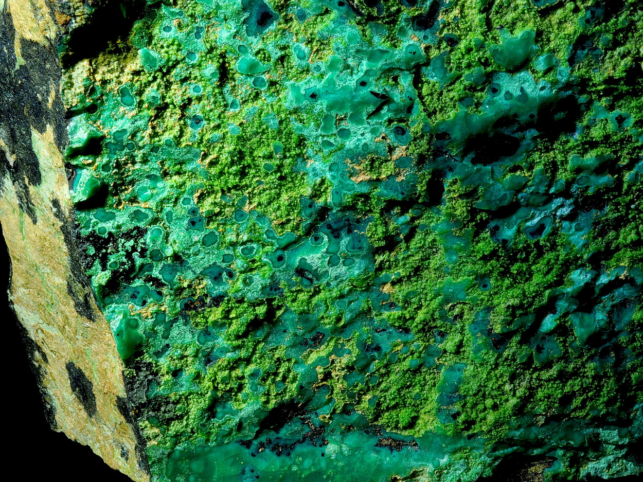 Domerockite Heterogenite Scorodite Chrysocolla & Conichalcite