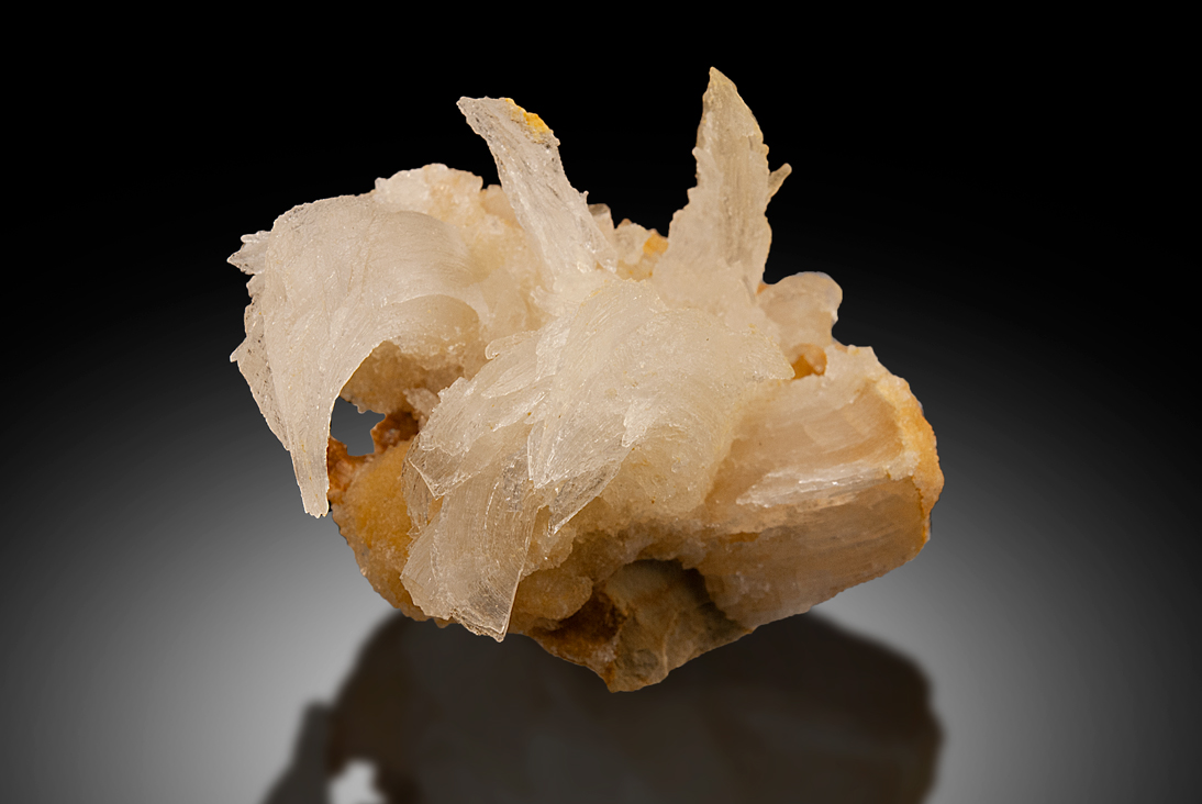 Gypsum