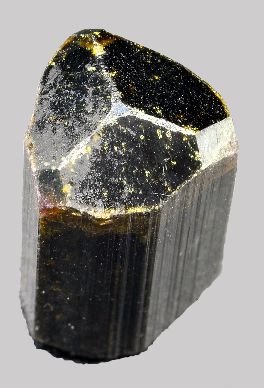 Liddicoatite