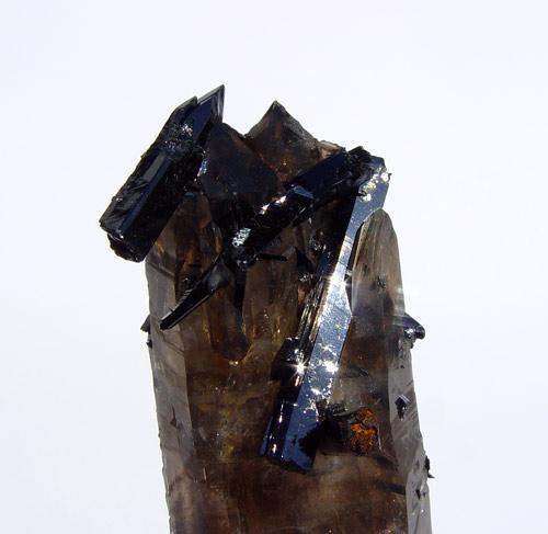 Aegirine On Smoky Quartz