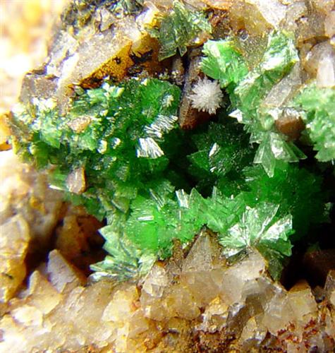 Annabergite