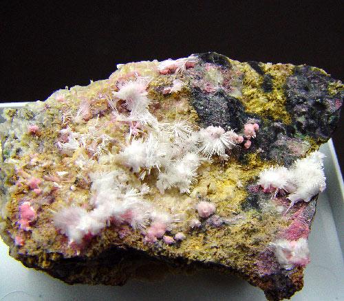 Picropharmacolite & Sainfeldite