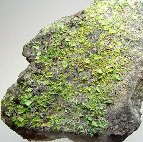 Uranocircite