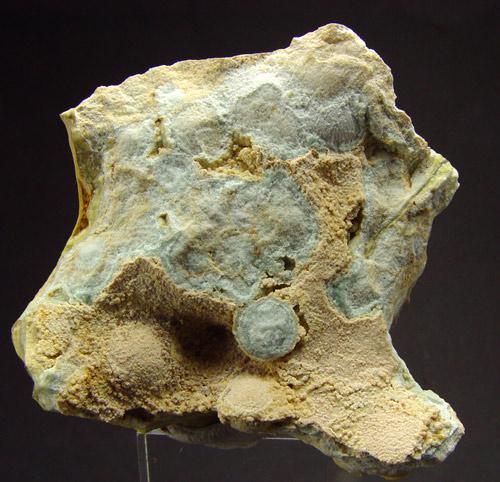 Wardite