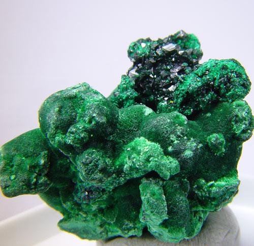 Brochantite On Malachite