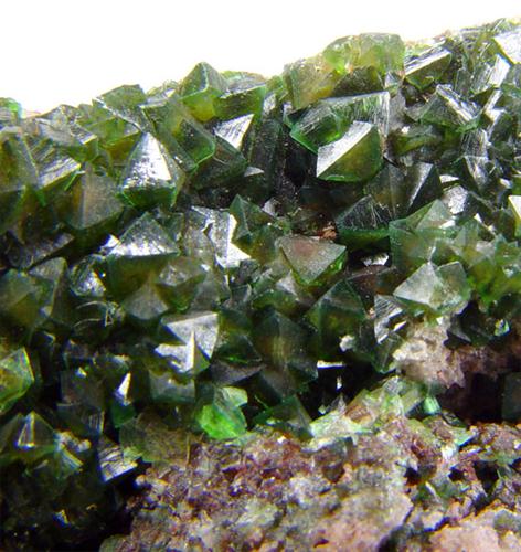 Cuprian Adamite