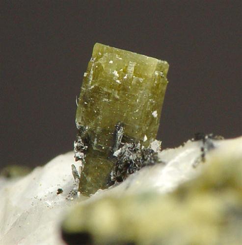 Pyrosmalite-(Fe)