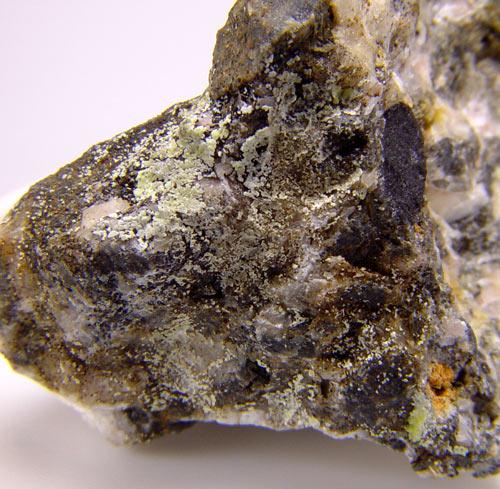 Znucalite