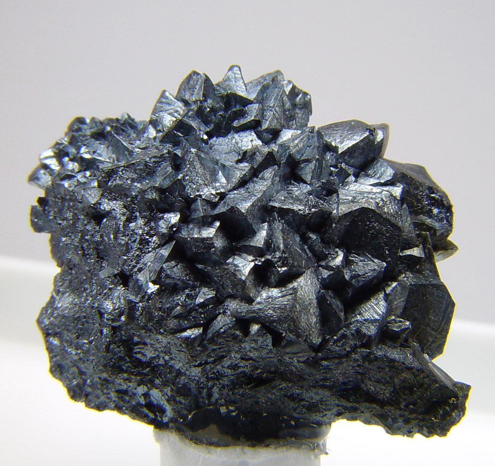 Djurleite