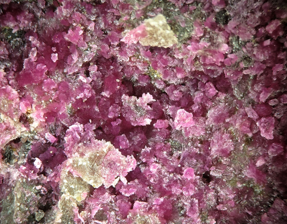 Cobaltkoritnigite