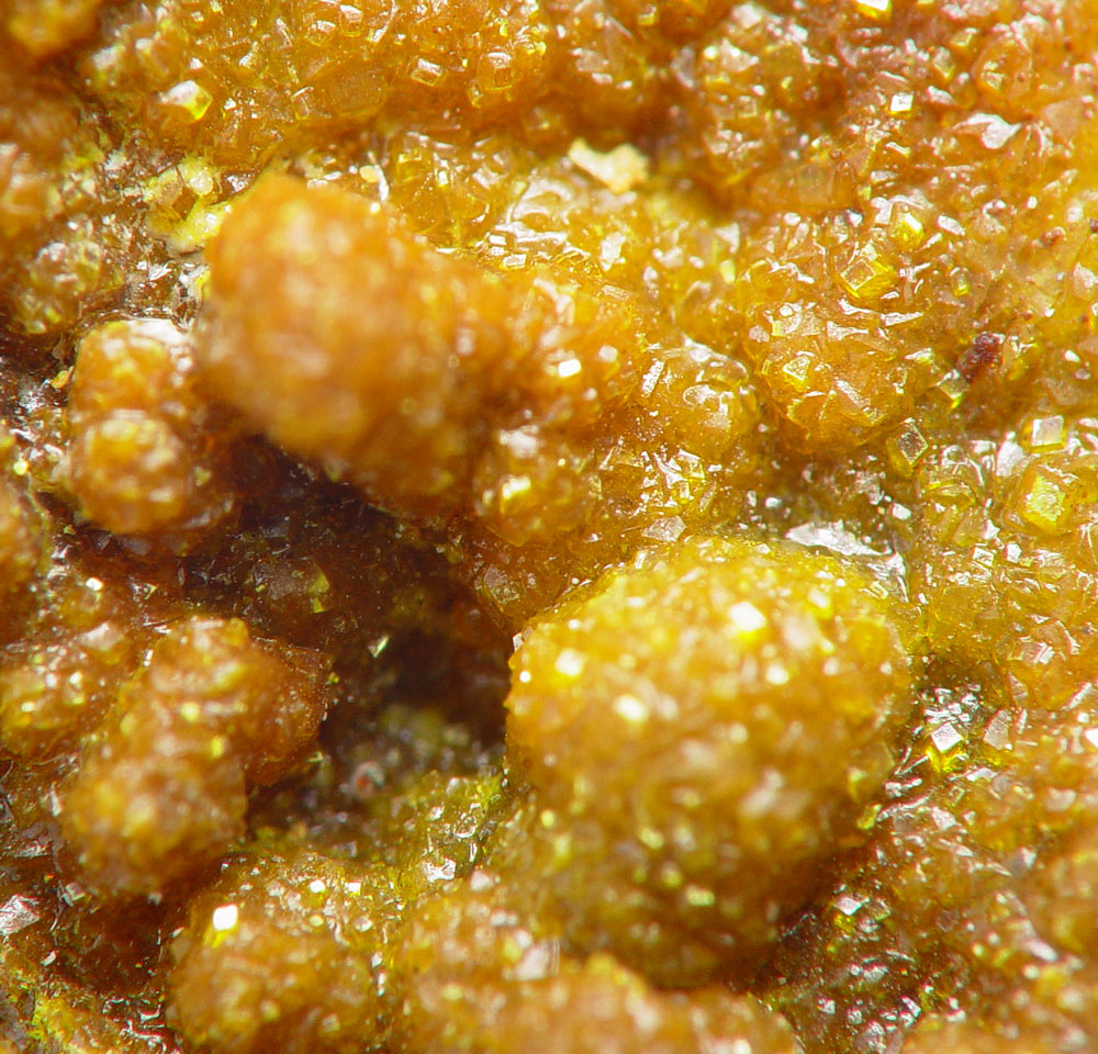 Francevillite Chervetite & Curienite