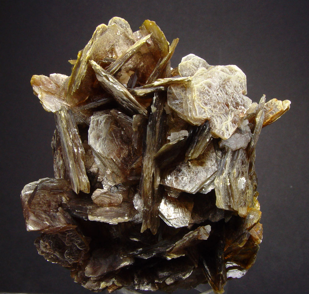 Muscovite