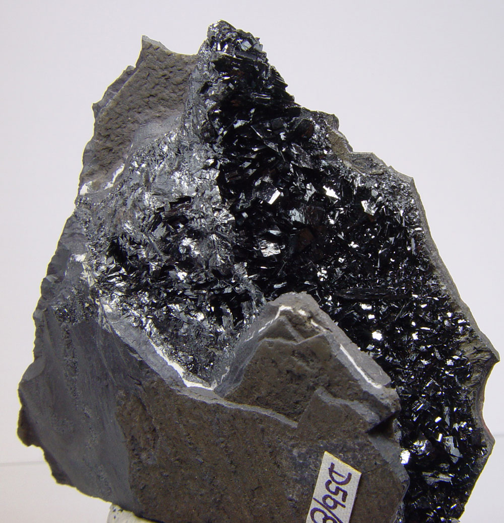 Manganite