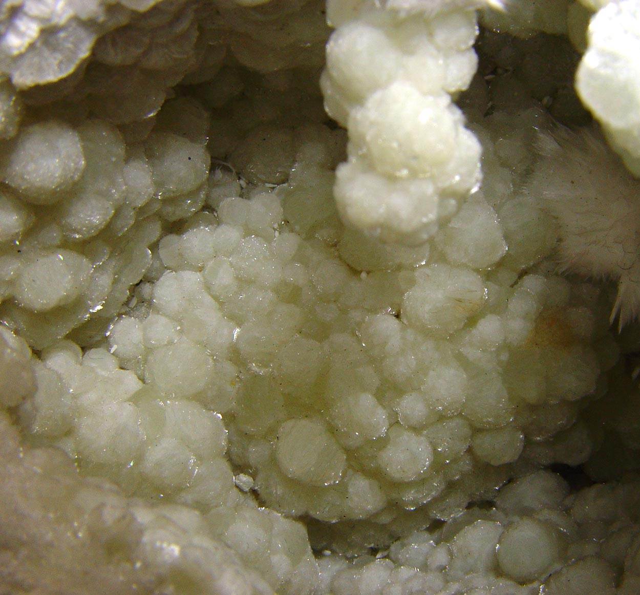 Prehnite & Okenite