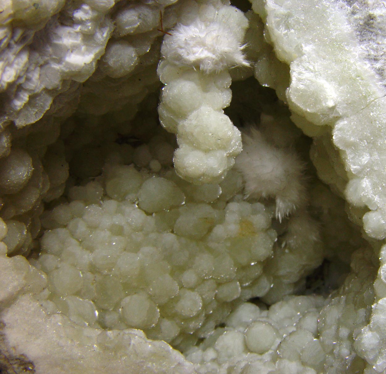 Prehnite & Okenite